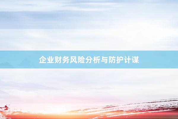 企业财务风险分析与防护计谋